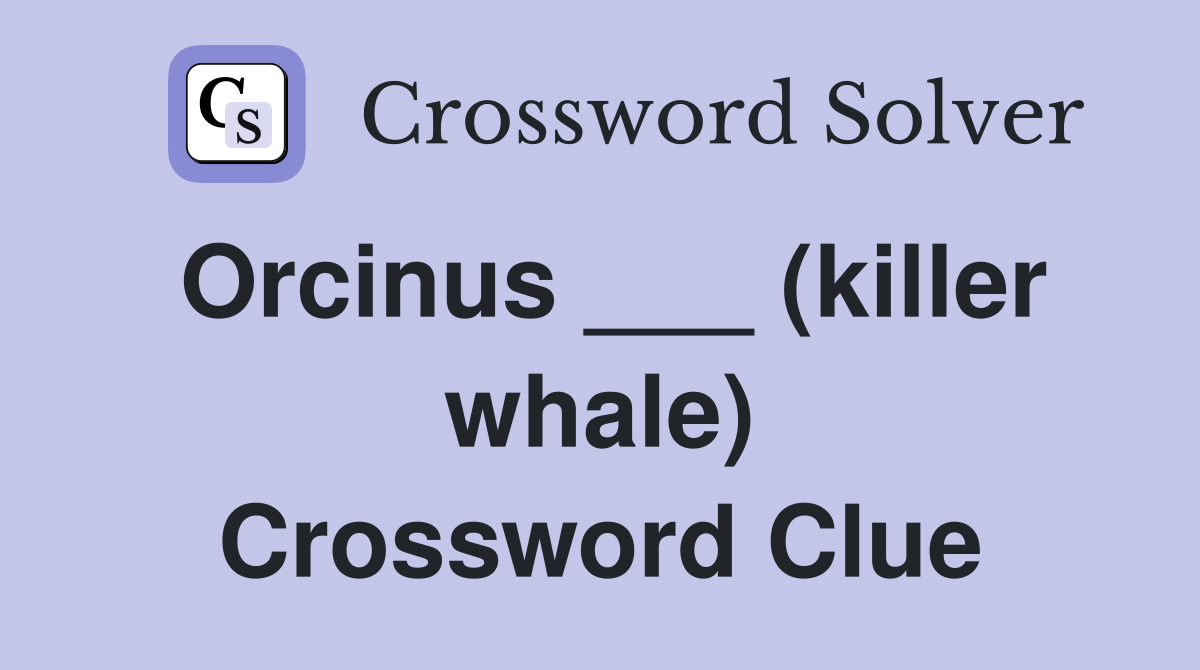 Orcinus ___ (killer whale) Crossword Clue