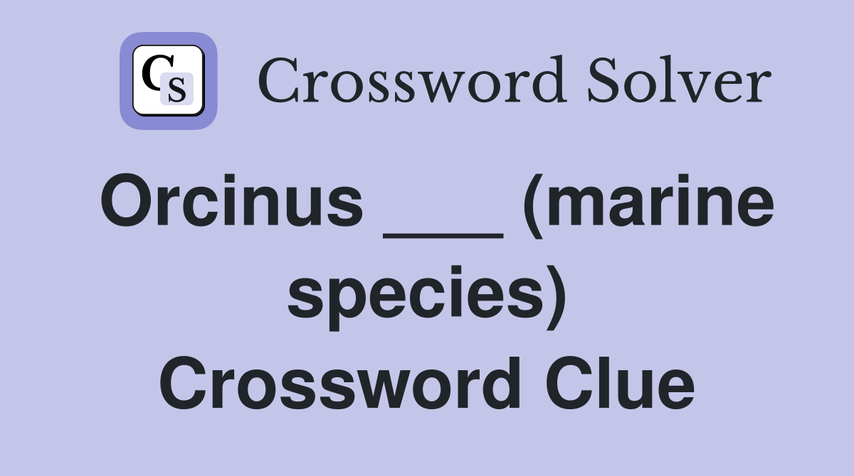Orcinus ___ (marine species) Crossword Clue