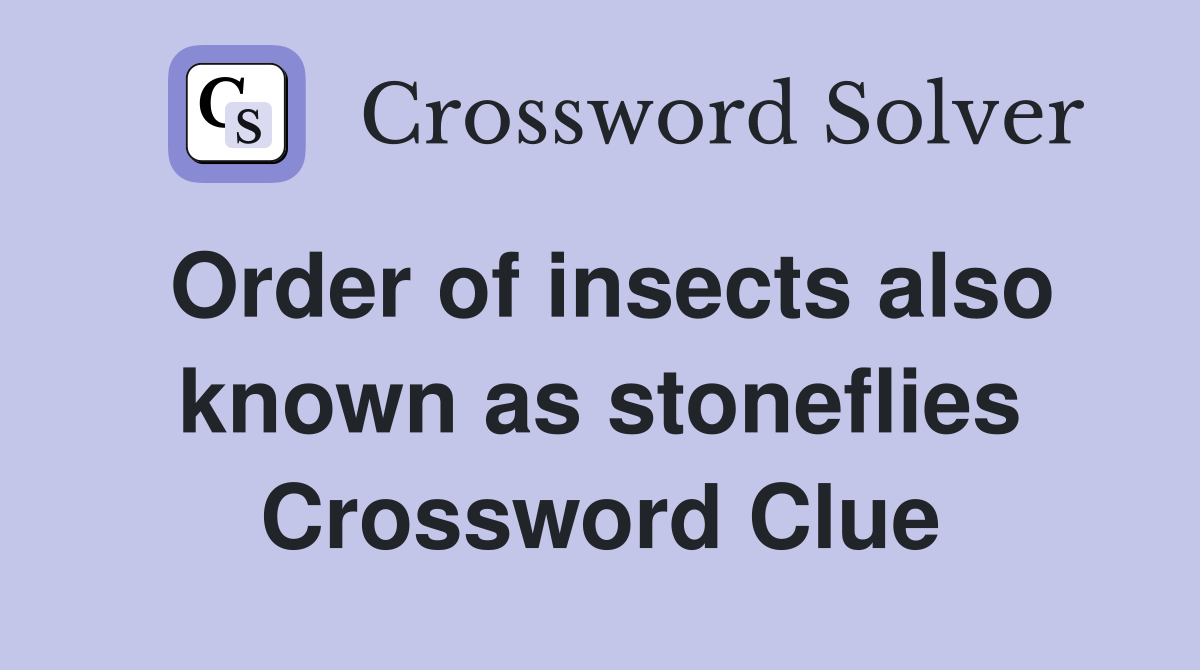 Order of insects also known as stoneflies Crossword Clue