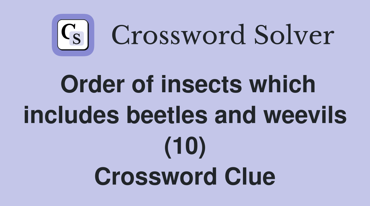 Order of insects which includes beetles and weevils (10) Crossword Clue