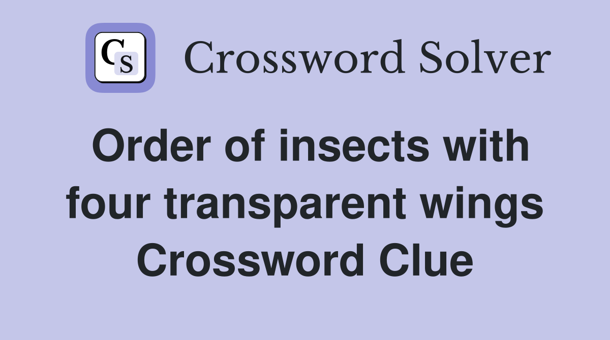 Order of insects with four transparent wings Crossword Clue