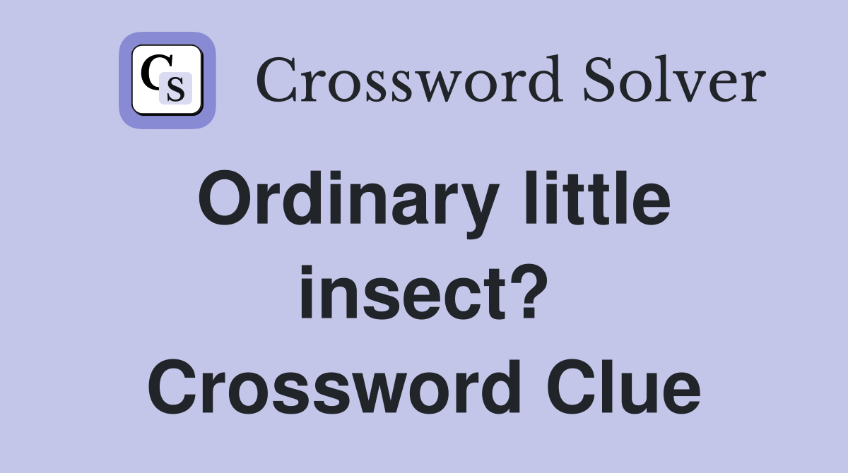Ordinary little insect? Crossword Clue