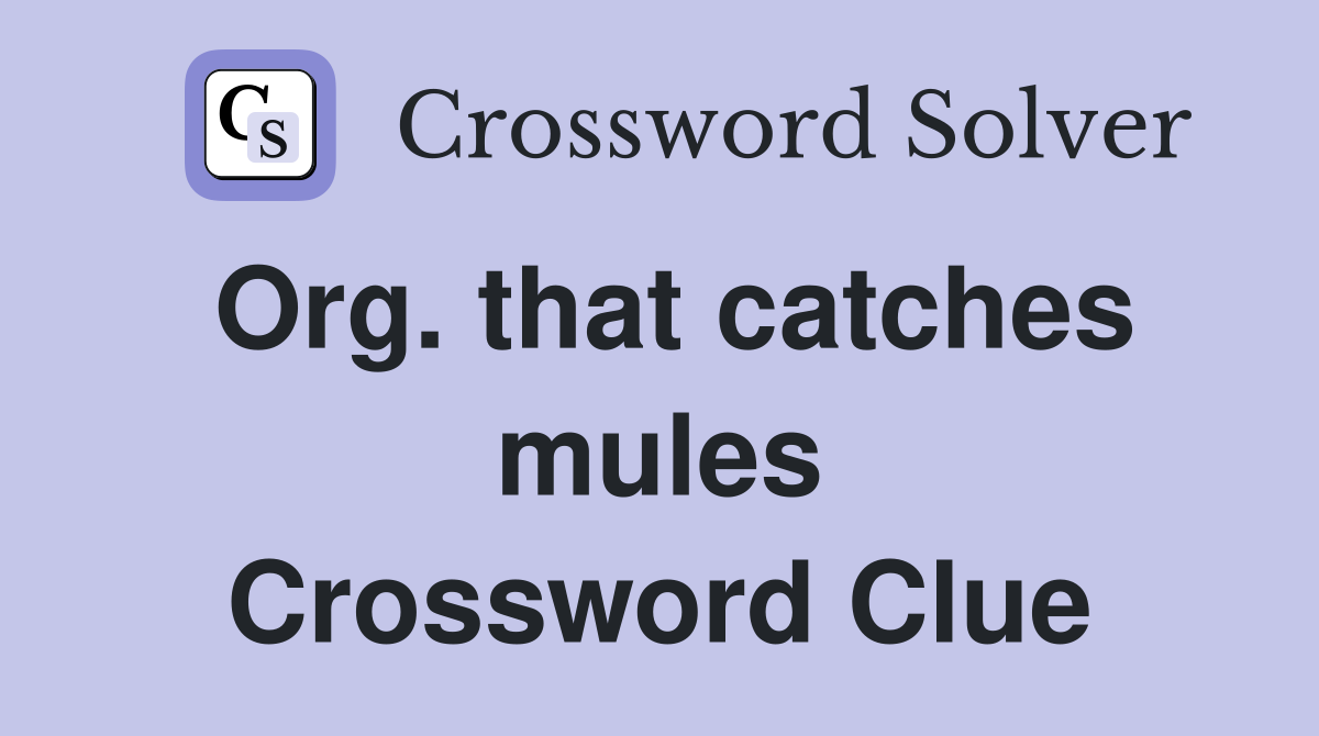 Org. that catches mules Crossword Clue