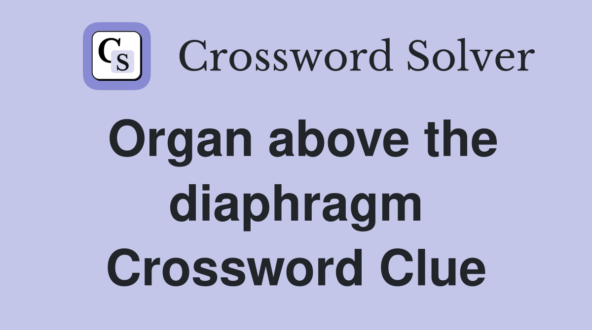 Organ above the diaphragm Crossword Clue