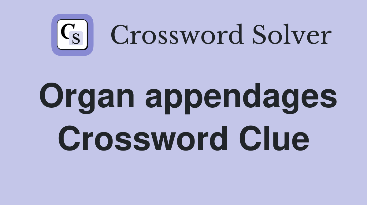Organ appendages Crossword Clue
