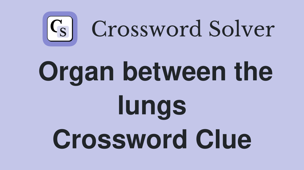 Organ between the lungs Crossword Clue