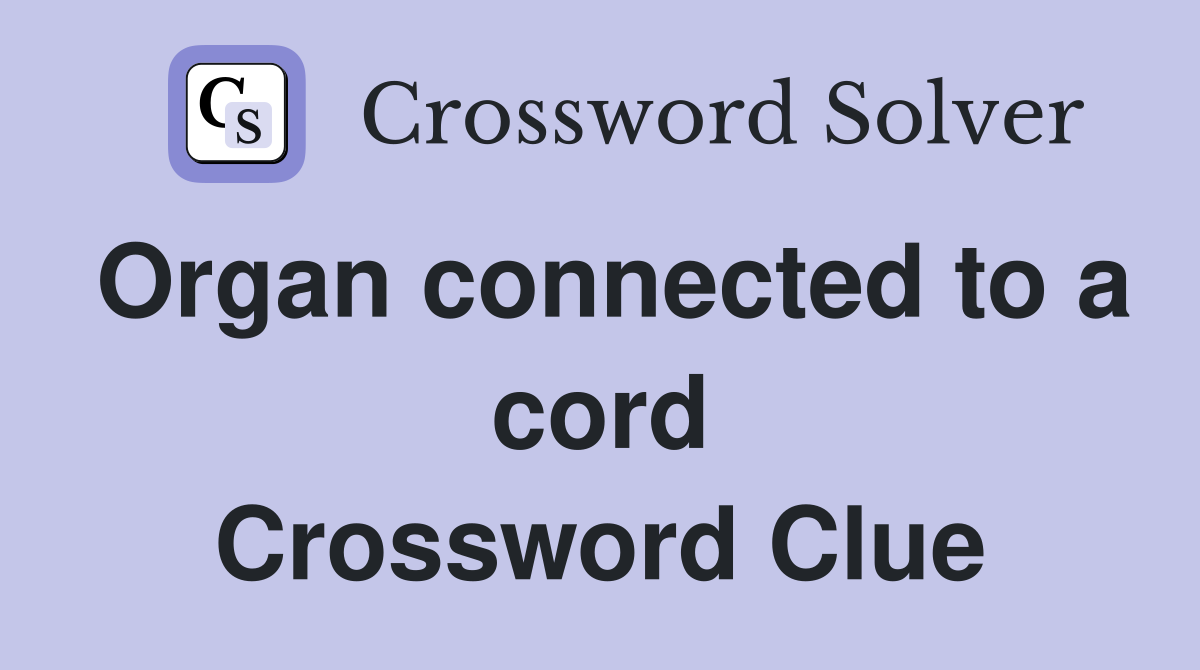 Organ connected to a cord Crossword Clue