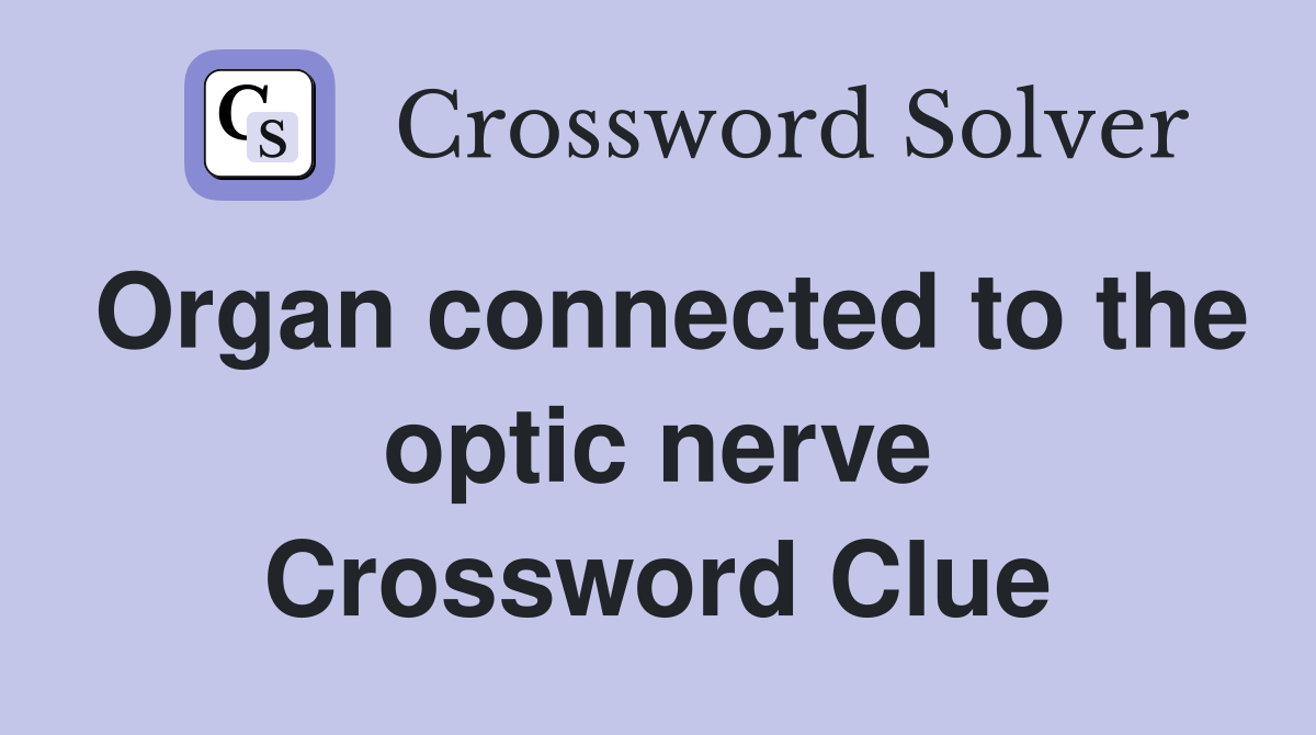 Organ connected to the optic nerve Crossword Clue