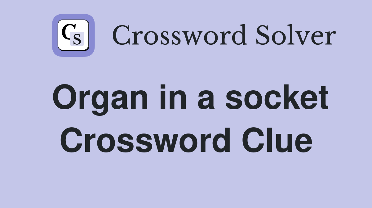 Organ in a socket Crossword Clue