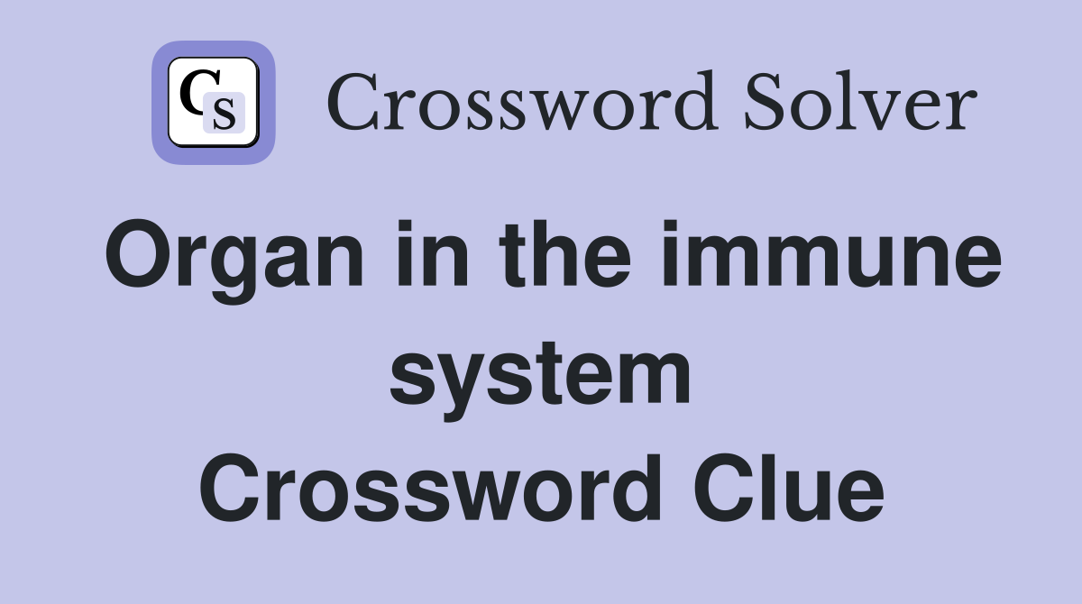 Organ in the immune system Crossword Clue