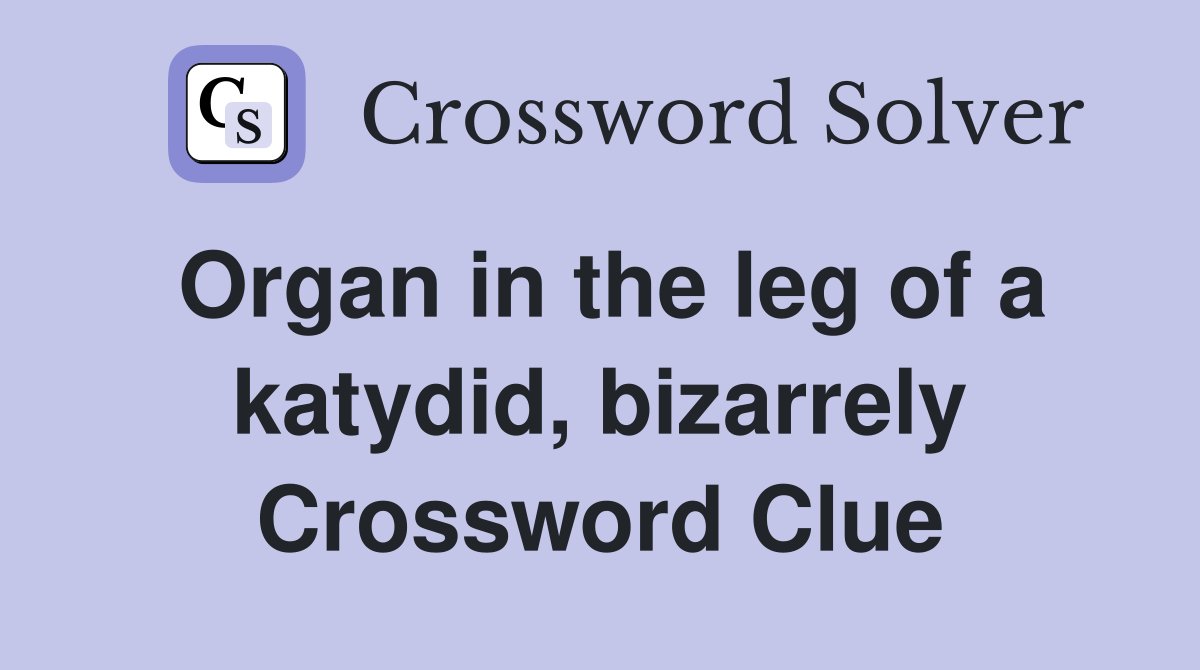 Organ in the leg of a katydid, bizarrely Crossword Clue