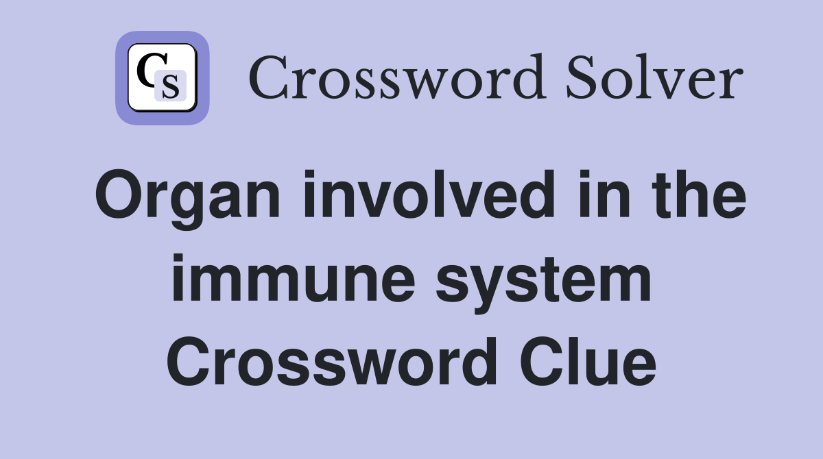 Organ involved in the immune system Crossword Clue
