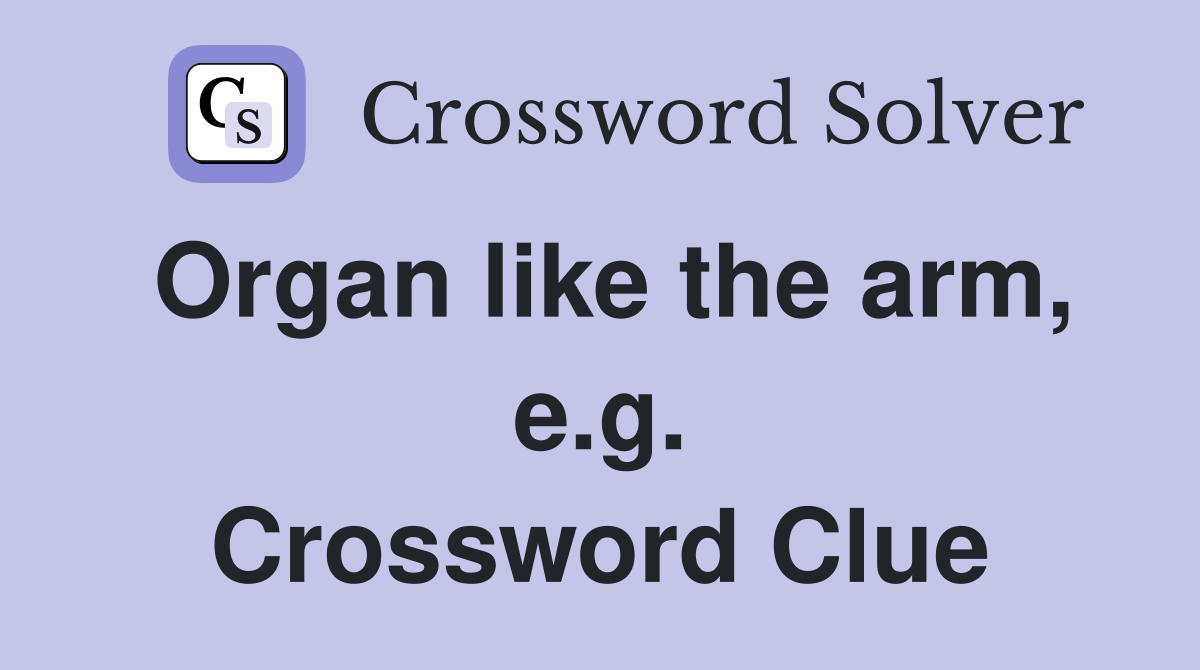 Organ like the arm, e.g. Crossword Clue