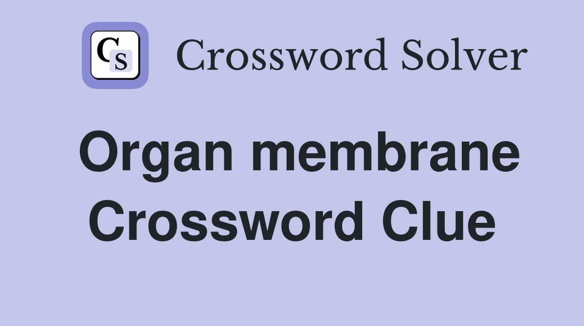 Organ membrane Crossword Clue