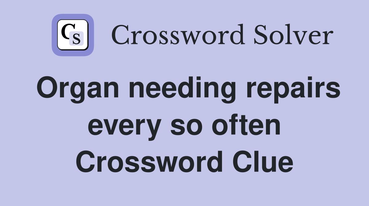 Organ needing repairs every so often Crossword Clue