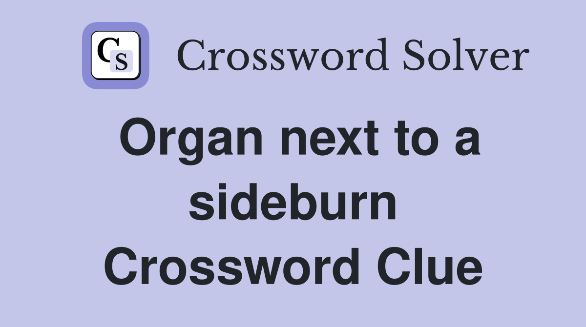Organ next to a sideburn Crossword Clue