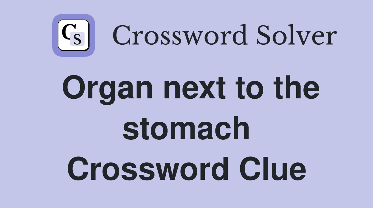 Organ next to the stomach Crossword Clue