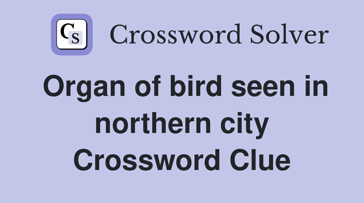 Organ of bird seen in northern city Crossword Clue