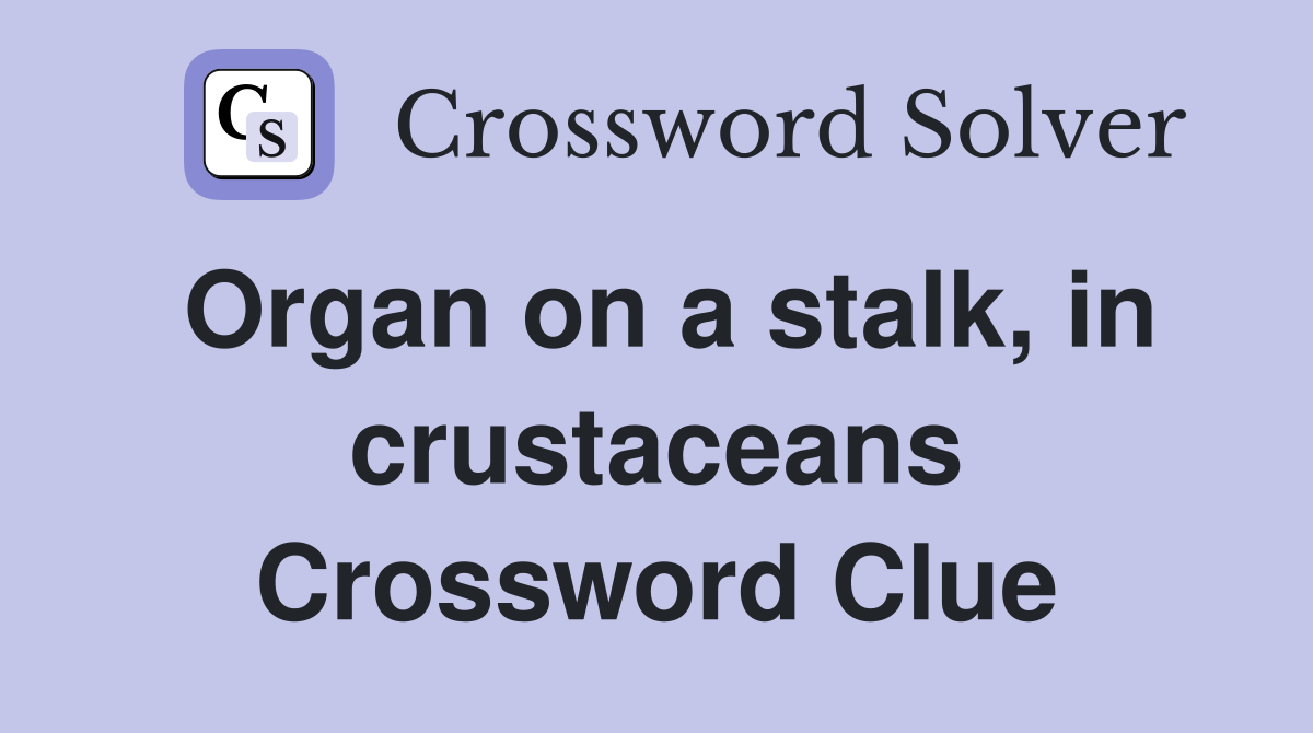 Organ on a stalk, in crustaceans Crossword Clue