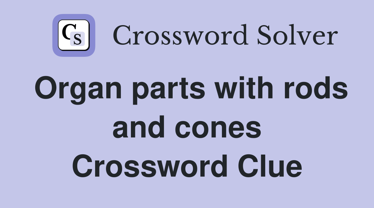 Organ parts with rods and cones Crossword Clue
