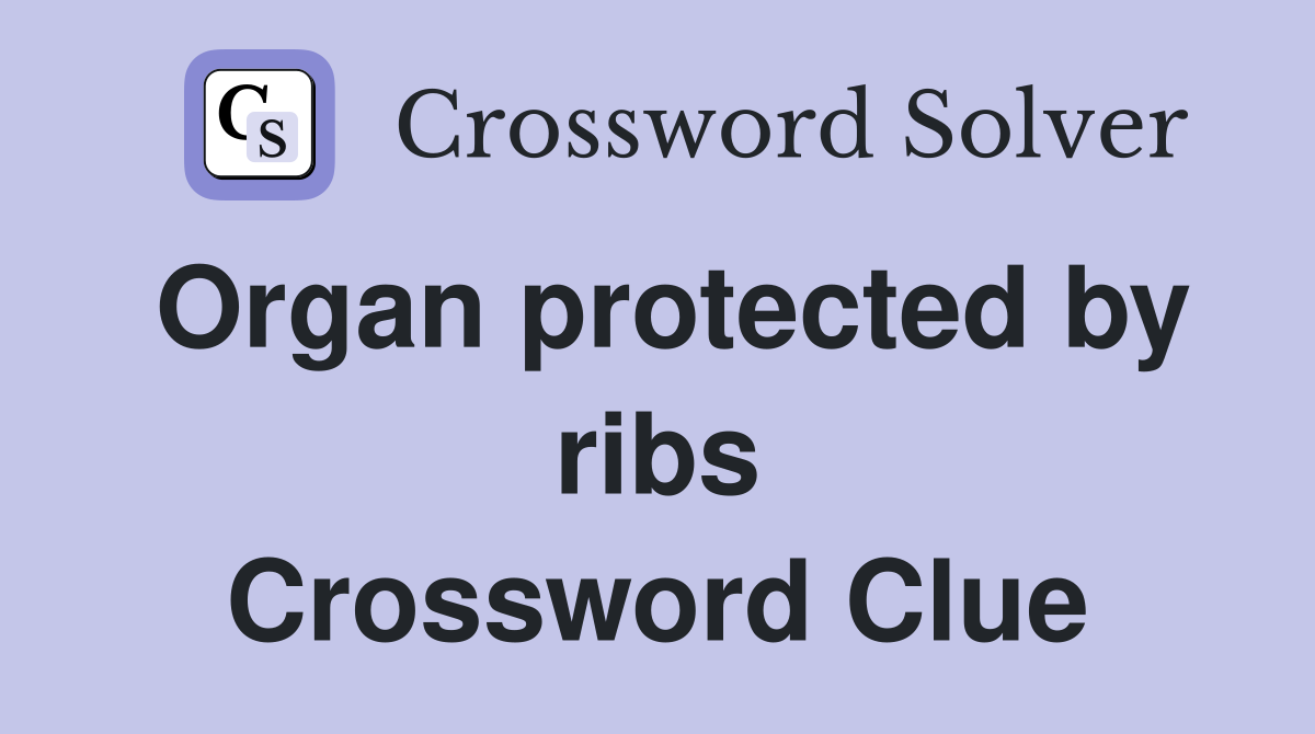 Organ protected by ribs Crossword Clue