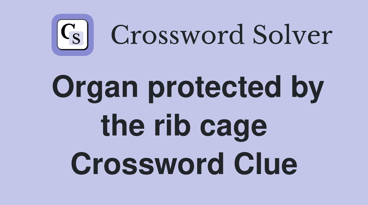 Organ protected by the rib cage Crossword Clue