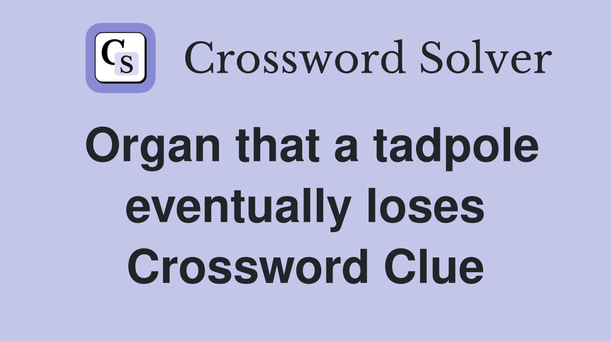 Organ that a tadpole eventually loses Crossword Clue