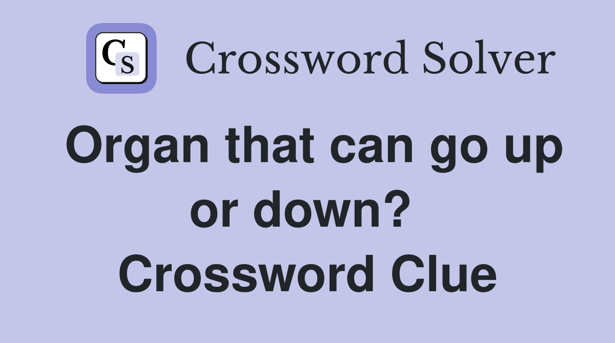 Organ that can go up or down?  Crossword Clue