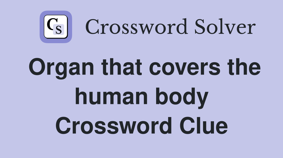 Organ that covers the human body Crossword Clue