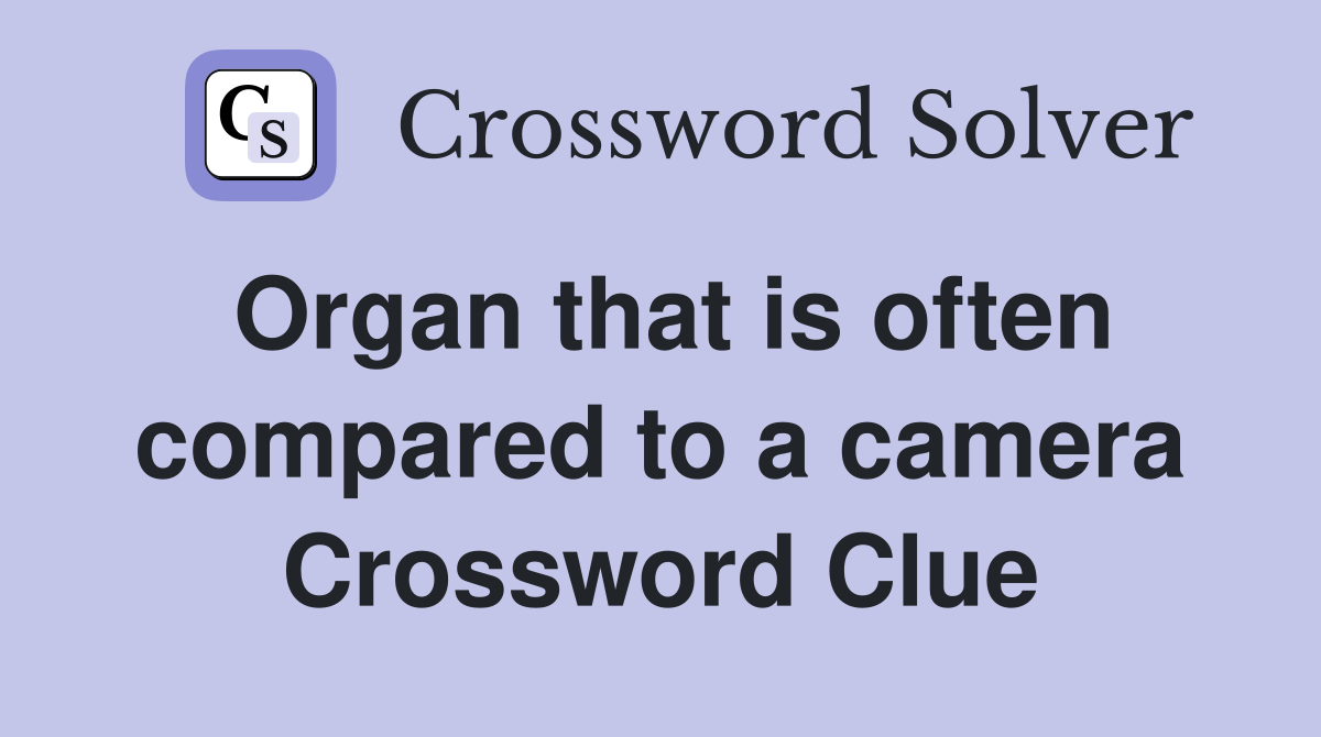 Organ that is often compared to a camera Crossword Clue