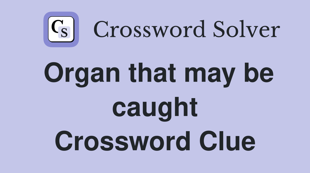 Organ that may be caught Crossword Clue