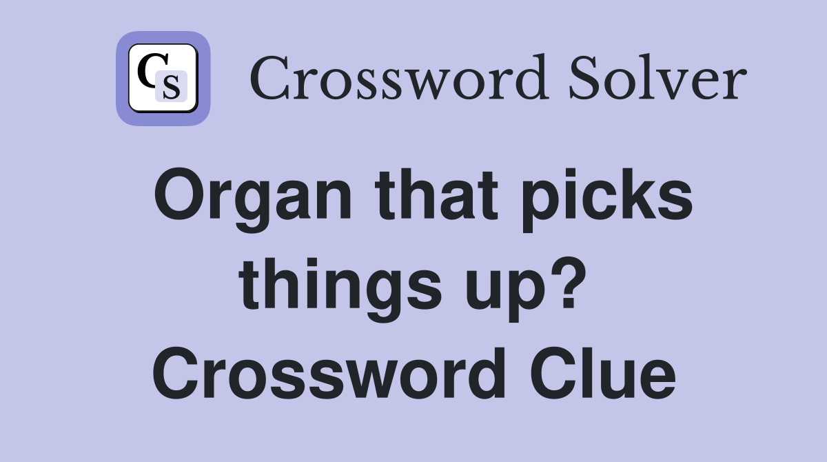 Organ that picks things up? Crossword Clue
