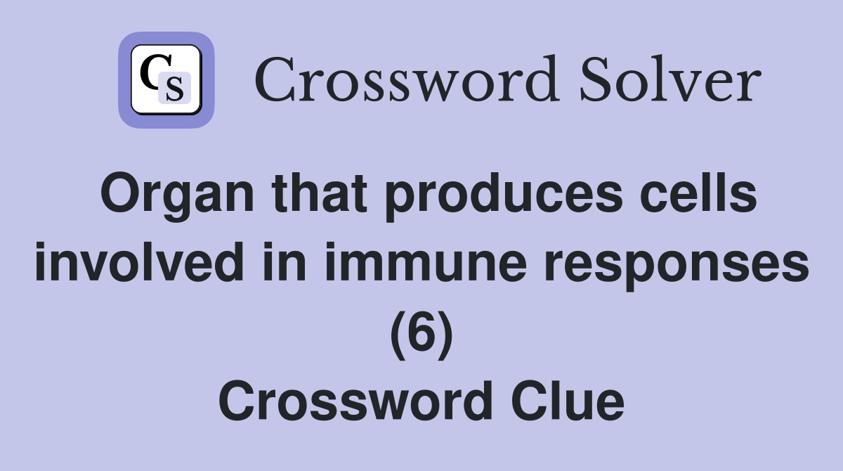 Organ that produces cells involved in immune responses (6) Crossword Clue