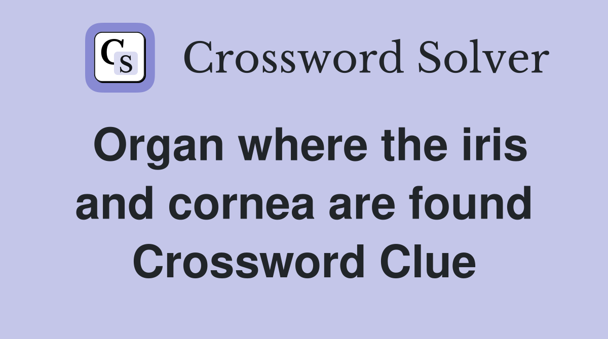 Organ where the iris and cornea are found Crossword Clue