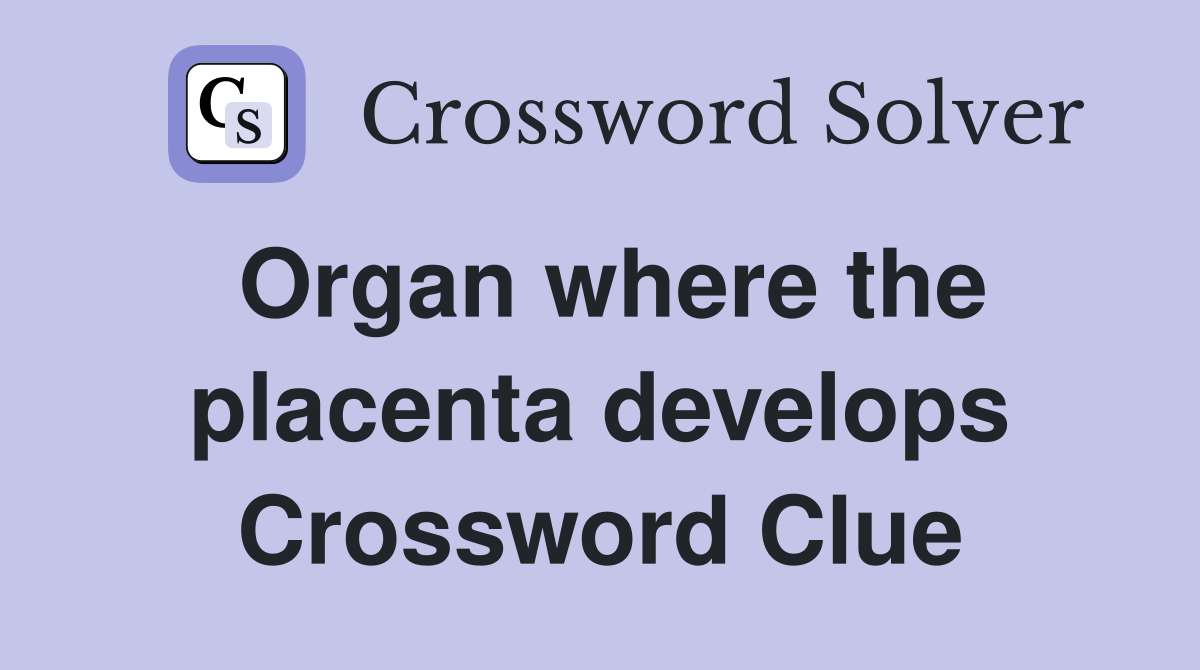 Organ where the placenta develops Crossword Clue