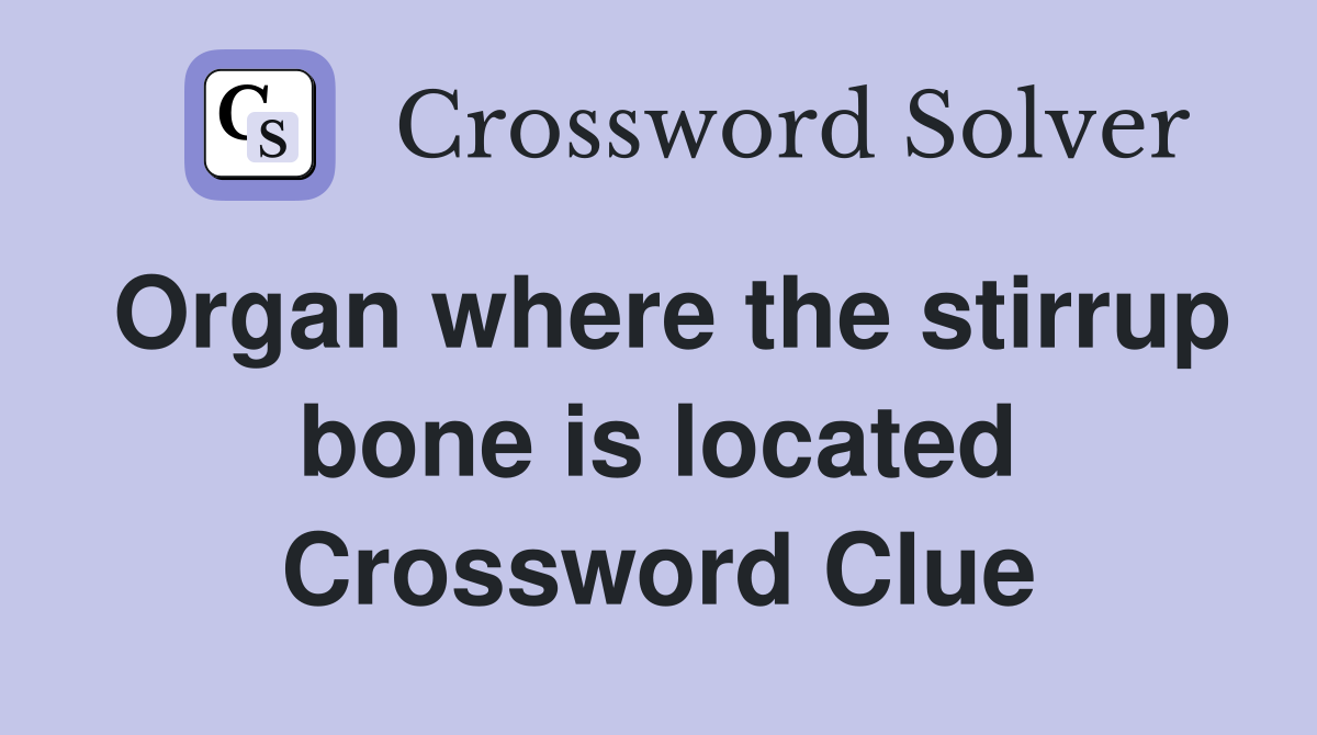 Organ where the stirrup bone is located Crossword Clue