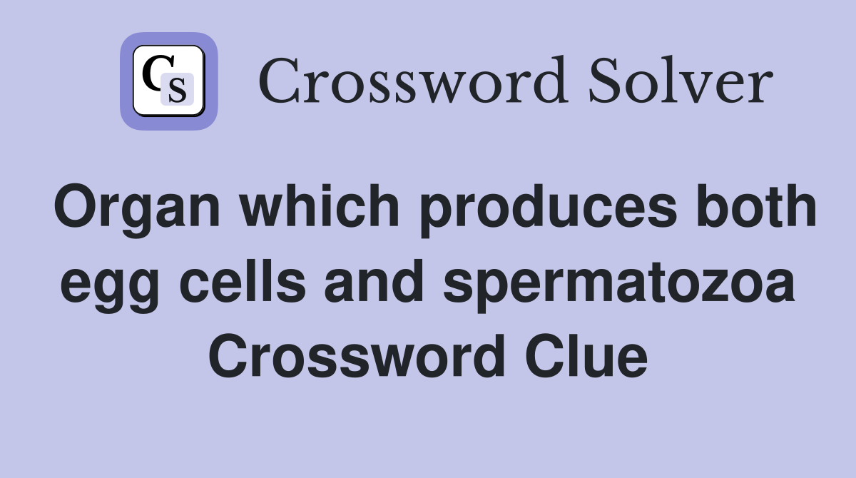 Organ which produces both egg cells and spermatozoa Crossword Clue