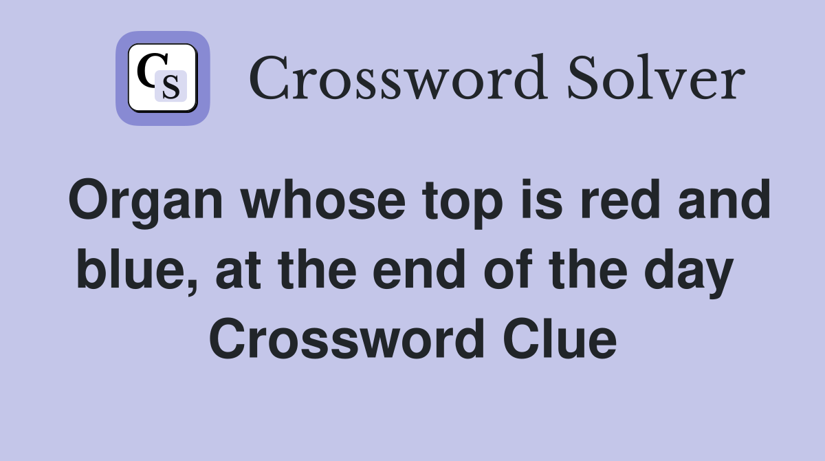 Organ whose top is red and blue, at the end of the day  Crossword Clue