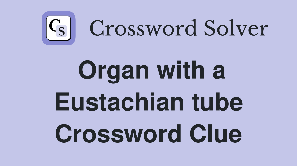 Organ with a Eustachian tube Crossword Clue