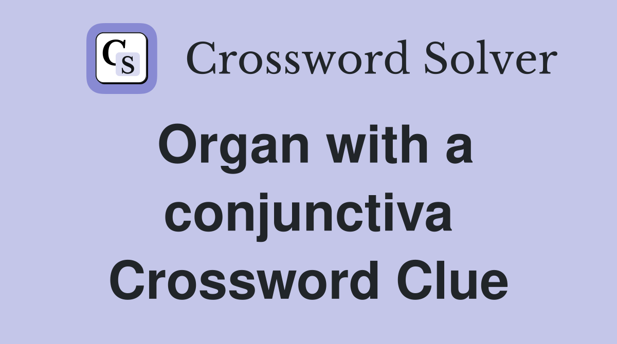 Organ with a conjunctiva Crossword Clue