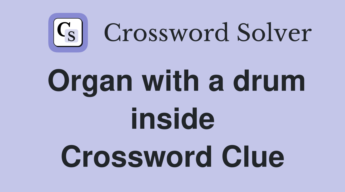 Organ with a drum inside Crossword Clue
