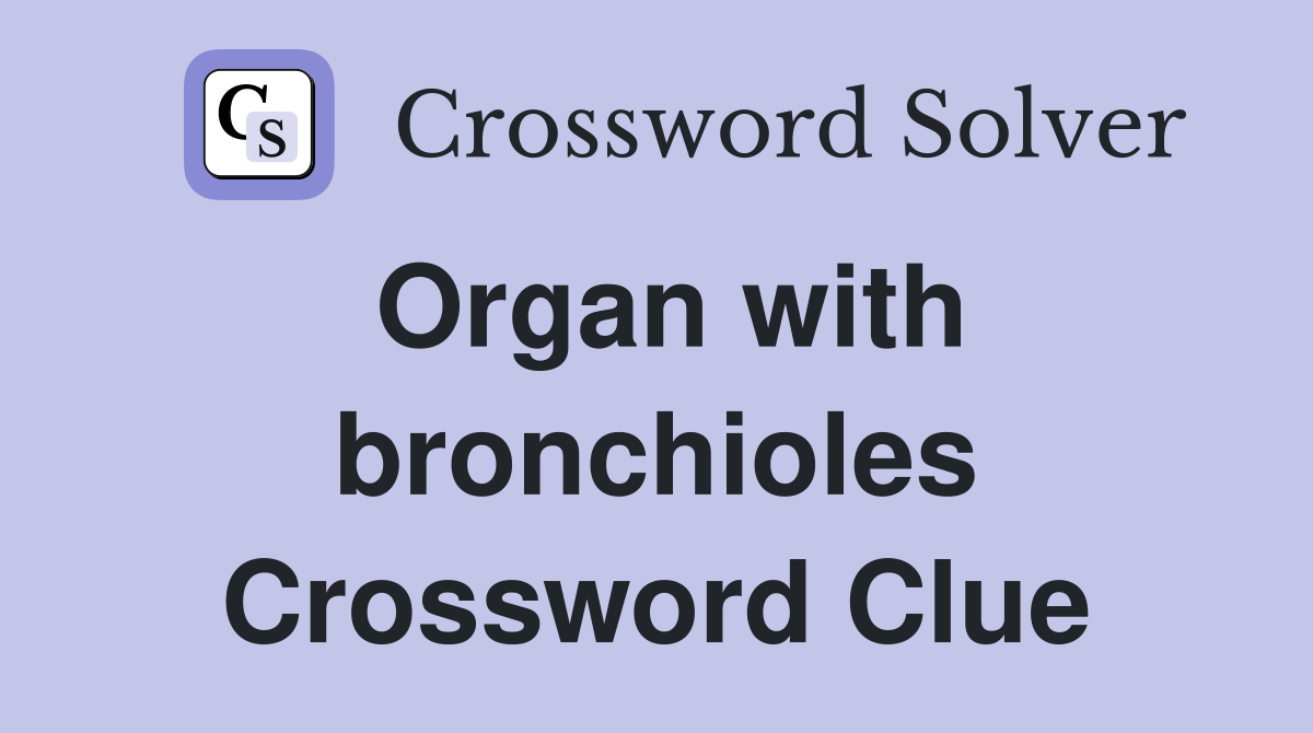 Organ with bronchioles Crossword Clue