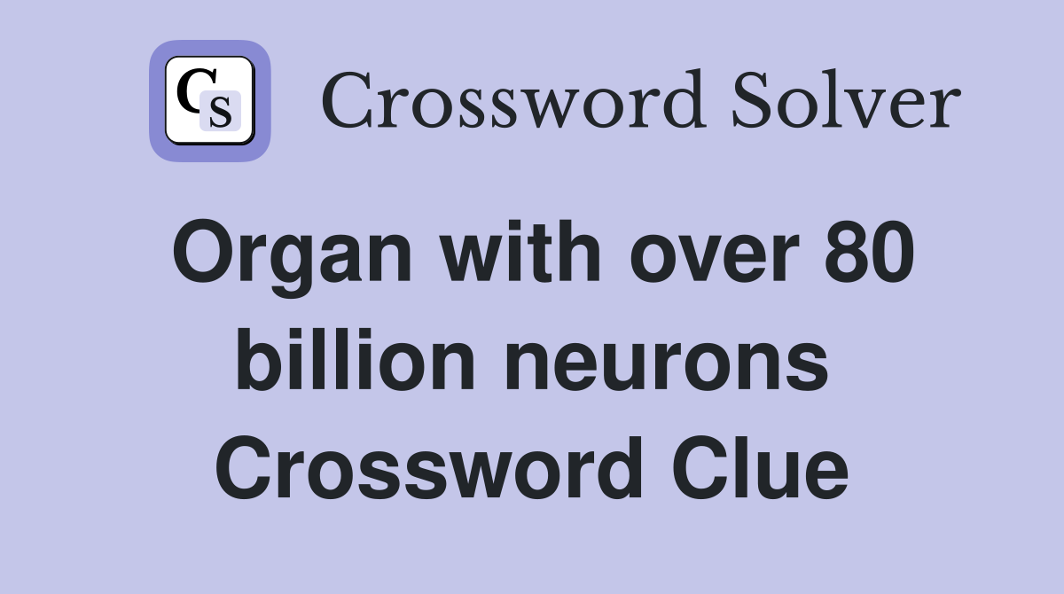 Organ with over 80 billion neurons Crossword Clue