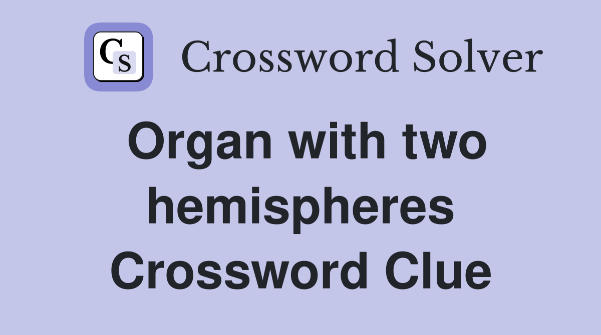 Organ with two hemispheres Crossword Clue