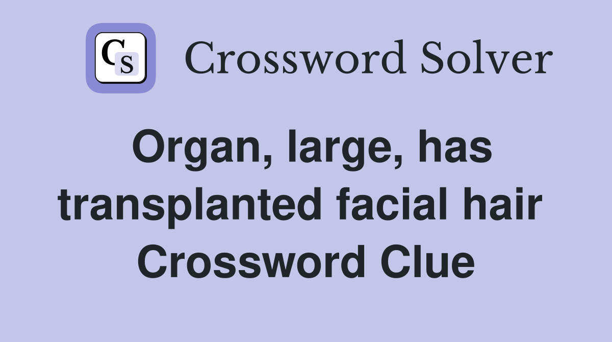 Organ, large, has transplanted facial hair  Crossword Clue