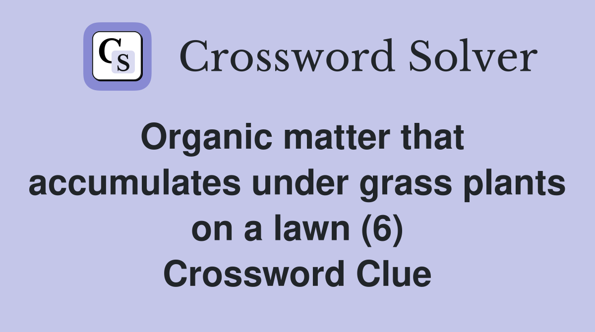 Organic matter that accumulates under grass plants on a lawn (6) Crossword Clue