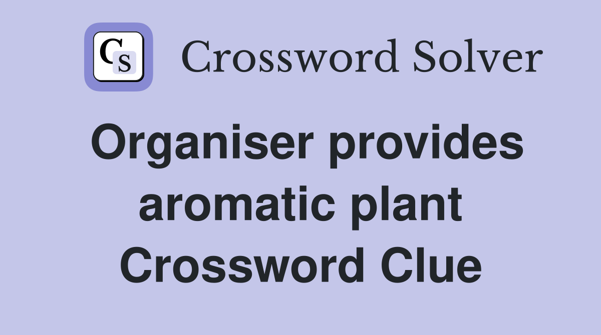Organiser provides aromatic plant Crossword Clue