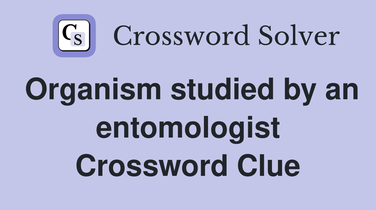 Organism studied by an entomologist Crossword Clue