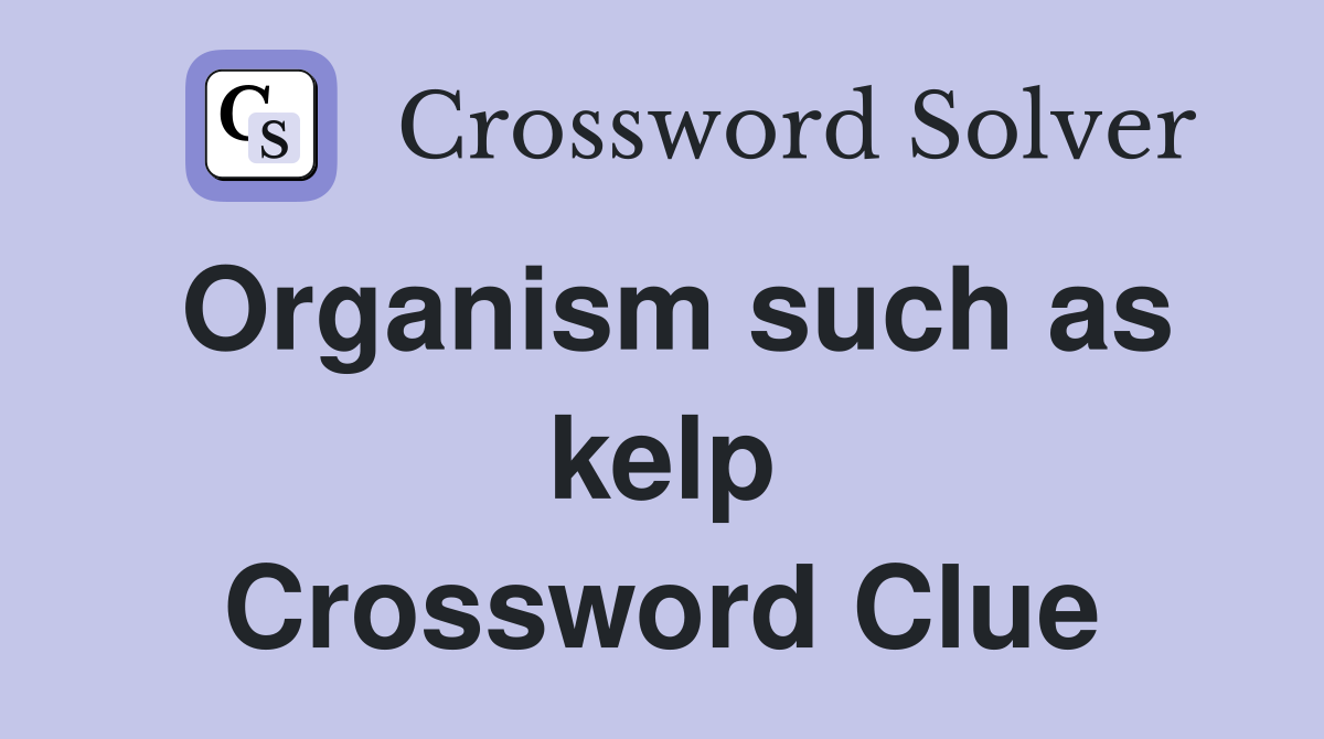 Organism such as kelp Crossword Clue