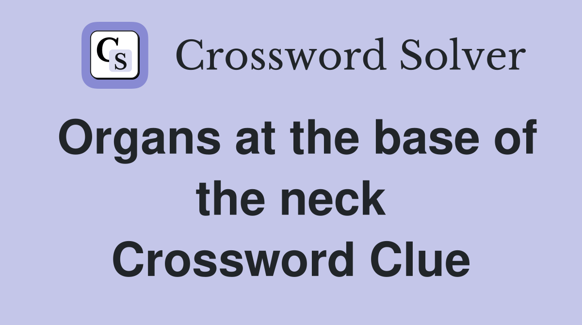 Organs at the base of the neck Crossword Clue